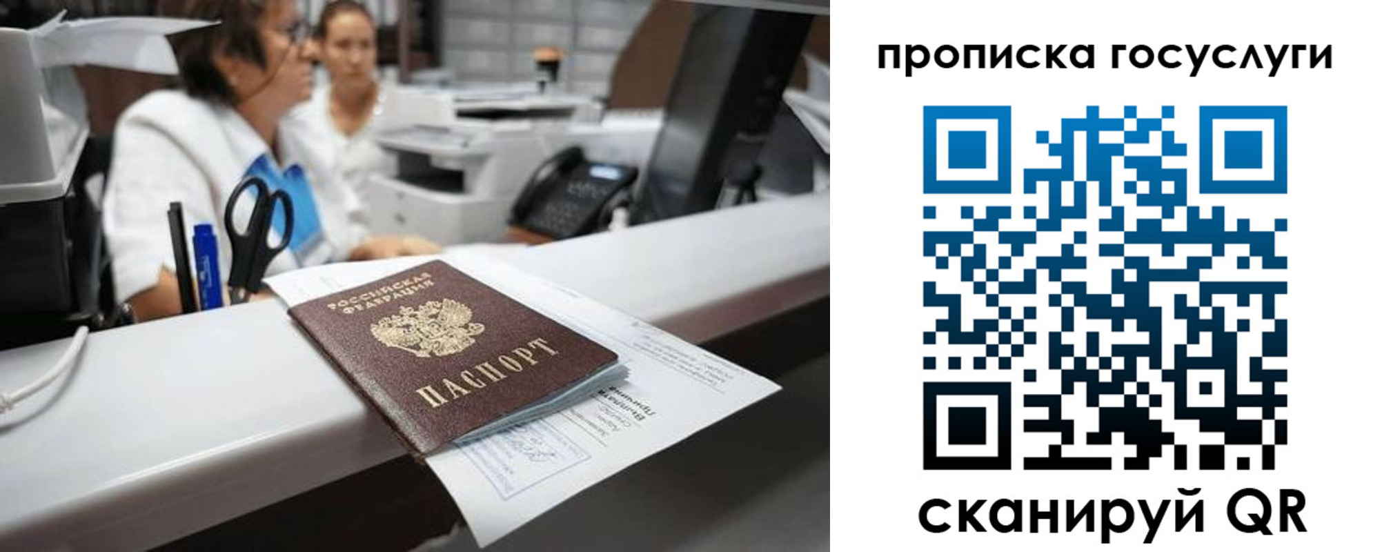 где прописаться в Мытищах